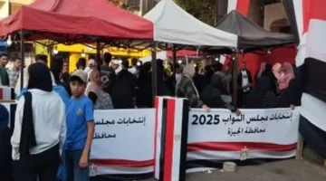 التصويت لاختيار مرشحي الفردي في 30 دائرة انتخابية ملغاة آليات وتحديات العملية الانتخابية 1